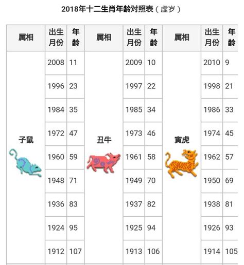 58年生肖|生肖對應到哪一年？十二生肖年份對照表輕鬆找（西元年、民國年）